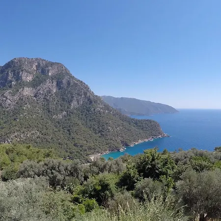 Kabak Mamma's Faralya